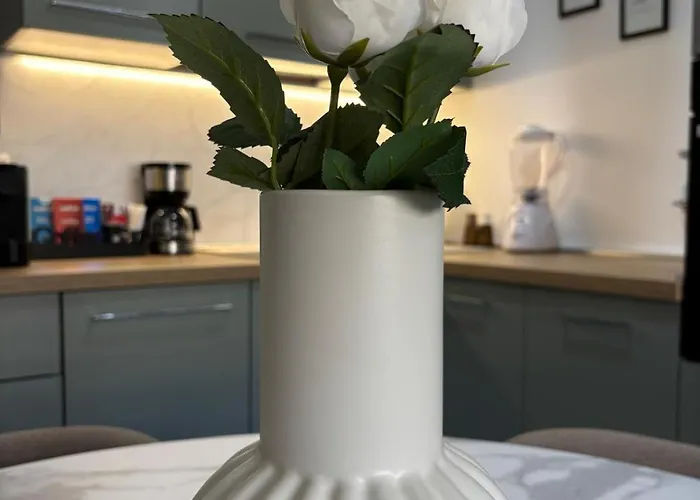 Aulo Plauzio *